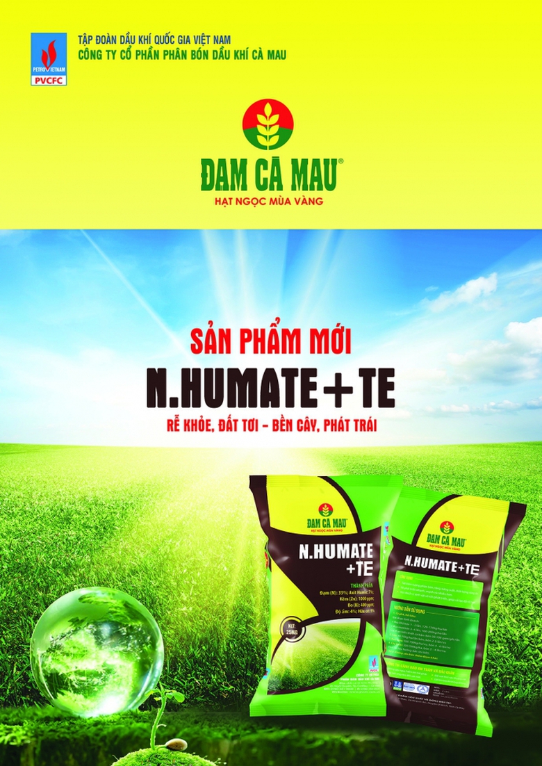 Poster - Print ads dung