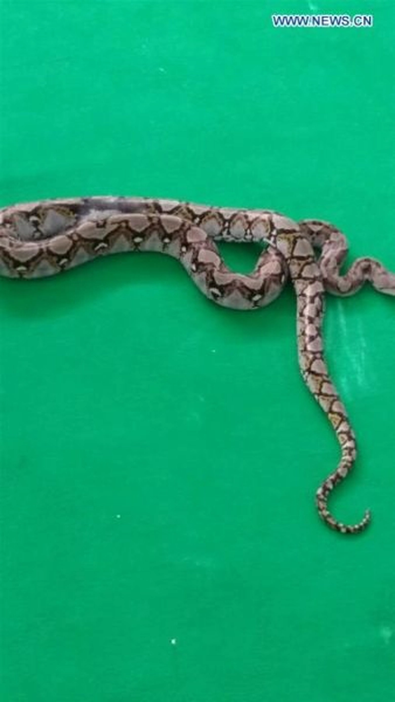 %22tên tội phạm%22 tấn công nữ du khách 