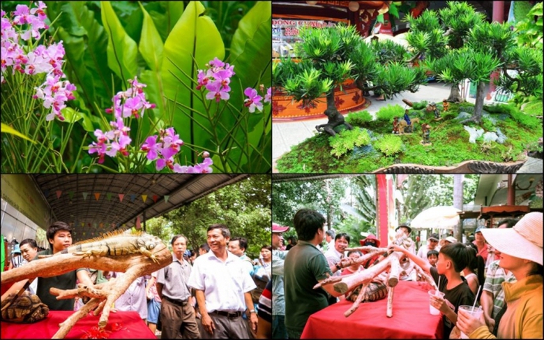 Sinh-vat-canh-1024x640