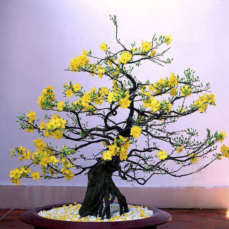 0288eedc4210a14ef801