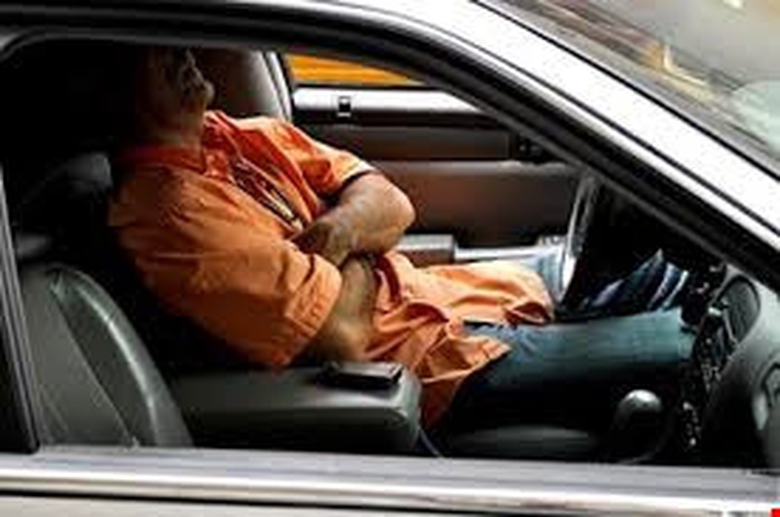 dung ngu tren cao toc