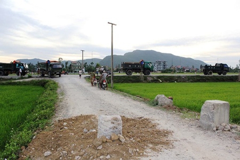 cot be tong giua duong