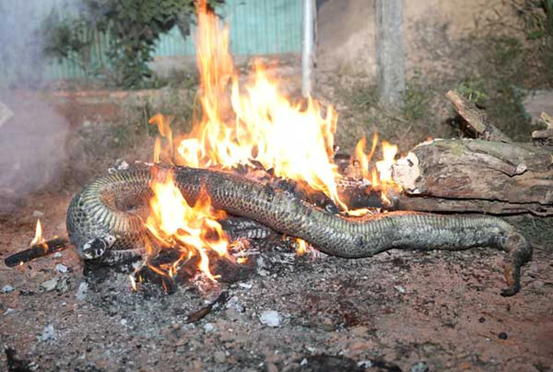 images2159454_IMG_1324