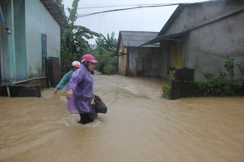 c&aacute;-nu&ocirc;i-lồng-ở-huế-chết-h&agrave;ng-loạt2