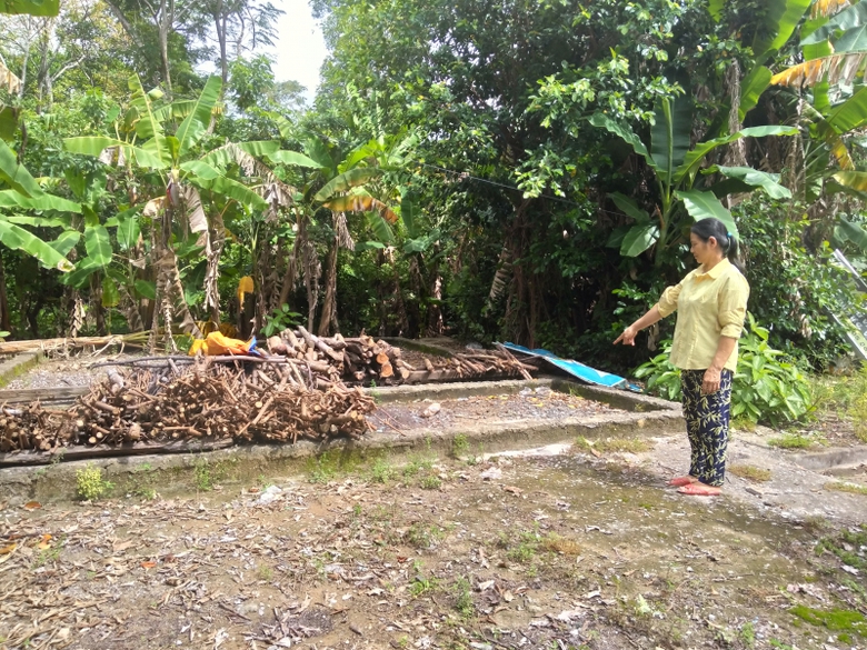 P_20181112_115013_vHDR_On