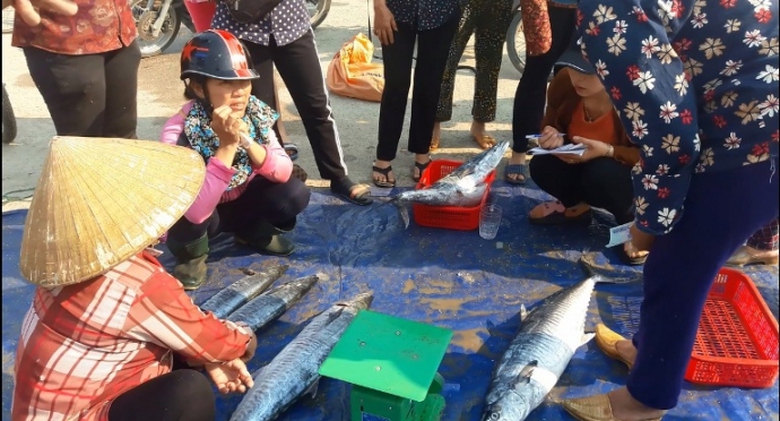 Ngư d&acirc;n H&agrave; Tĩnh tr&uacute;ng đậm mẻ c&aacute; thu, ước được gần 