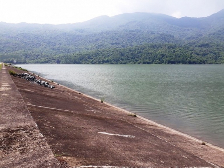 đập xu&acirc;n hoa