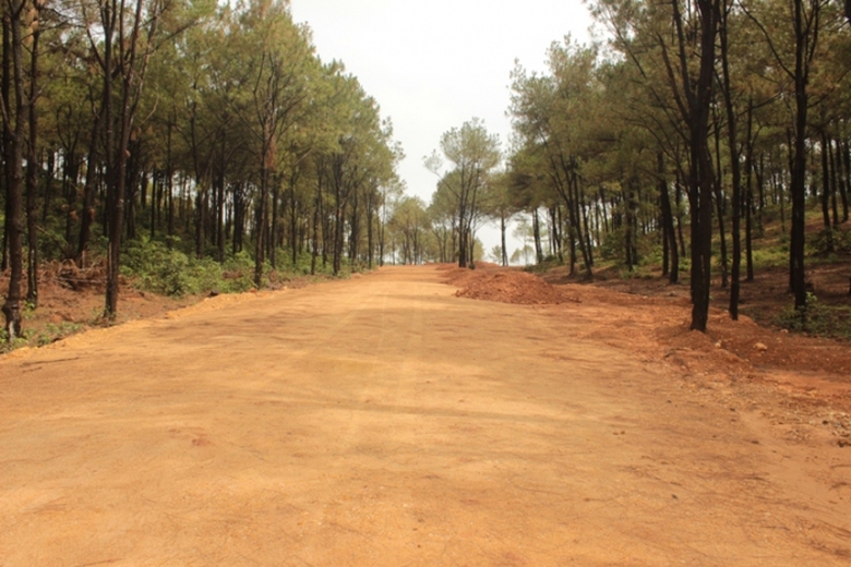 Hệ thống đường s&aacute; l&ecirc;n khu sinh th&aacute;i đ&atilde; được h&igrave;nh t