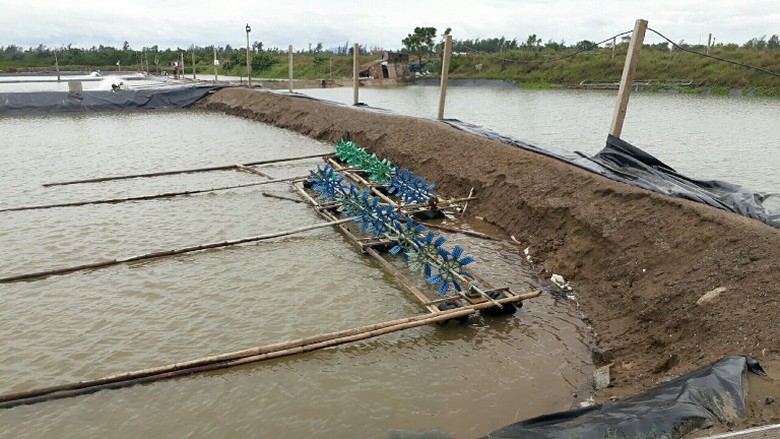 Đ&ecirc; vỡ, nước tr&agrave;n v&agrave;o khiến c&aacute;c hồ nu&ocirc;i t&ocirc;m ở Thạch
