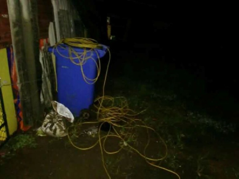 Đường d&acirc;y điện c&acirc;u trộm