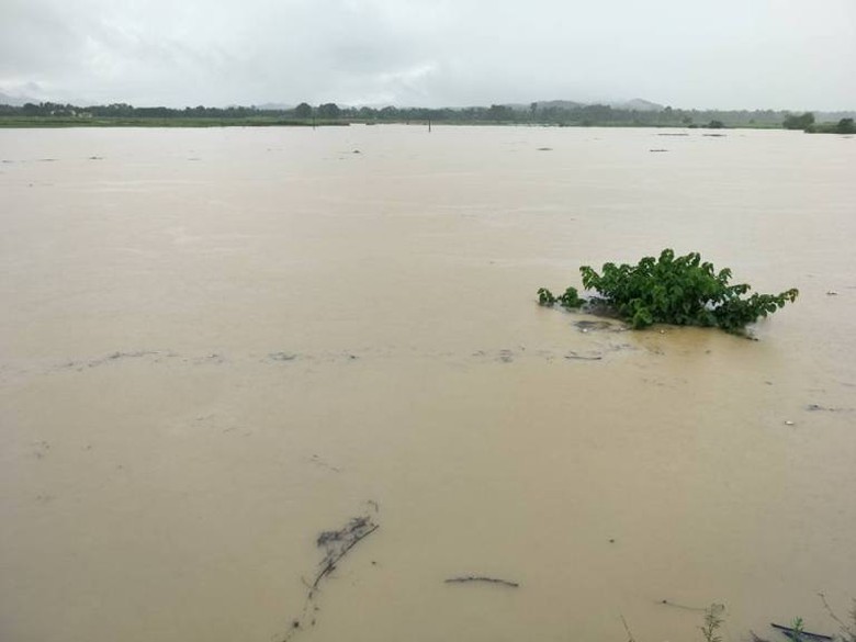 S&ocirc;ng ti&ecirc;m chảy qua địa phận x&atilde; lộc y&ecirc;n gi&aacute;p ranh t