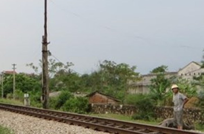 7 con tr&acirc;u bị t&agrave;u đ&acirc;m chết