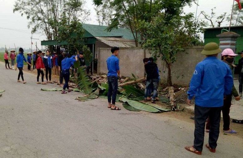 gi&uacute;p d&acirc;n chặt tỉa c&acirc;y xanh