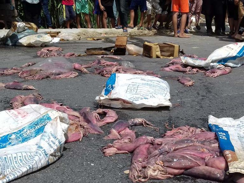 người d&acirc;n bức x&uacute;c n&eacute;m mực thối ra đường