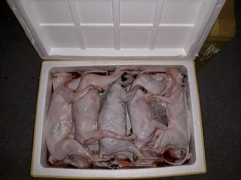 23658498_370919383347280_2123818020021545301_n