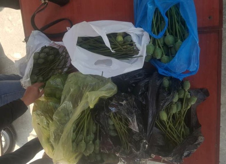 27752194_1533891700061230_6656668074858921584_n