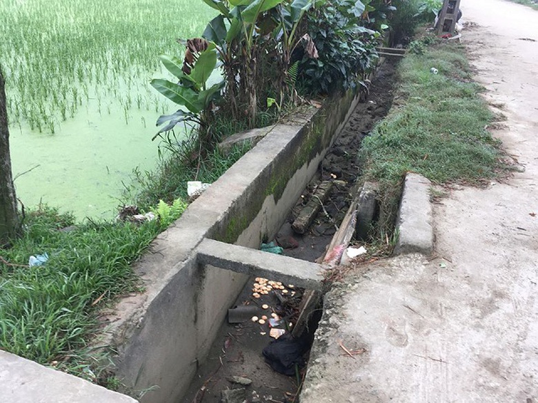 28468114_1554560974659048_6930211421821075456_n