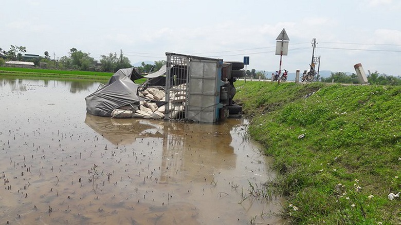 29853285_1408450512594281_1220224922_n