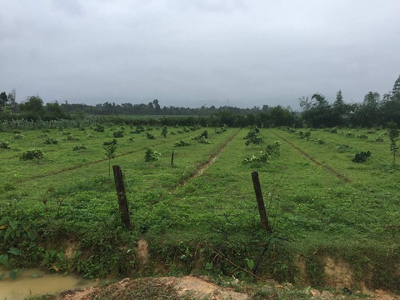 30127777_186451788745956_2617180768979386368_n