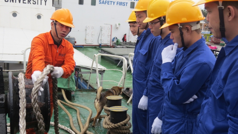 t&agrave;u sao biển