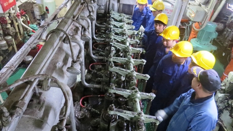 t&agrave;u sao biển 4