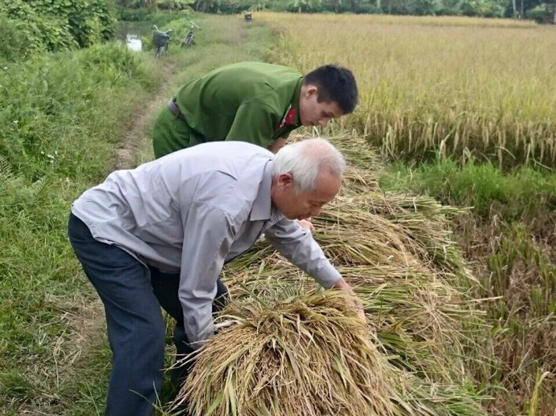 C&ocirc;ng an quận Đồ Sơn gi&uacute;p d&acirc;n gặt l&uacute;a - Copy