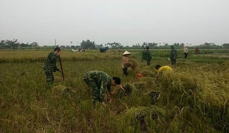 thanh ni&ecirc;n qu&acirc;n đội gi&uacute;p d&acirc;n gặt l&uacute;a chạy b&atilde;o