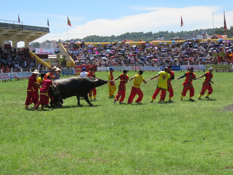 22053343_1534732323215854_2074384657_n