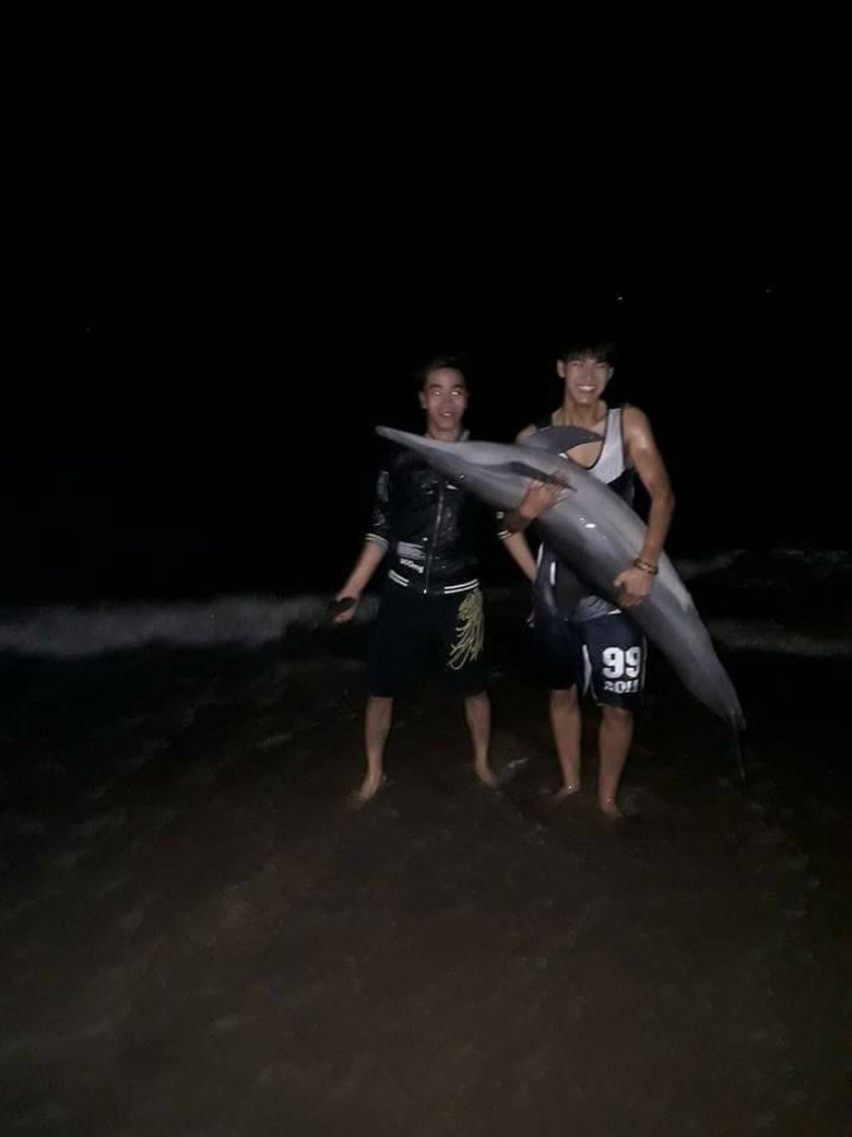 cá heo ĐS