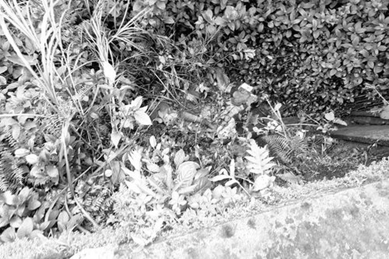 Khủng bố Maute s&aacute;t hại 8 thường d&acirc;n ở Marawi