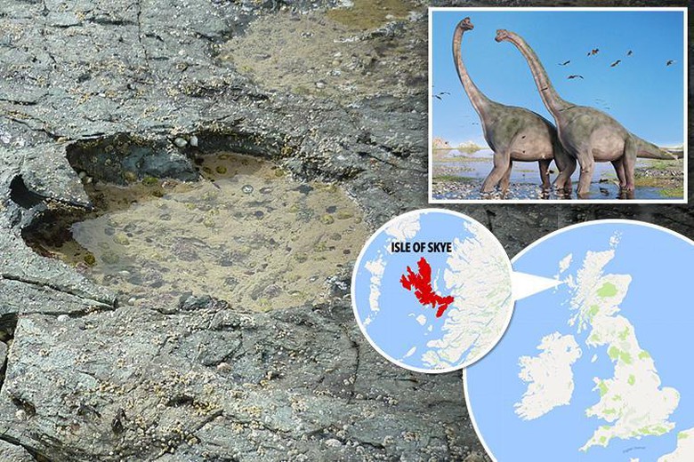 tp-composite-dino-footprint