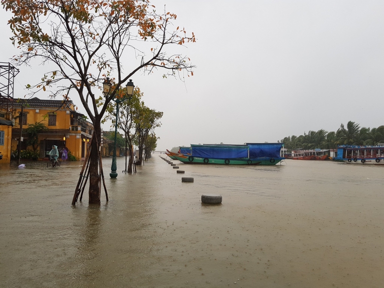 23119895_10209685993778955_3179539426687374621_o