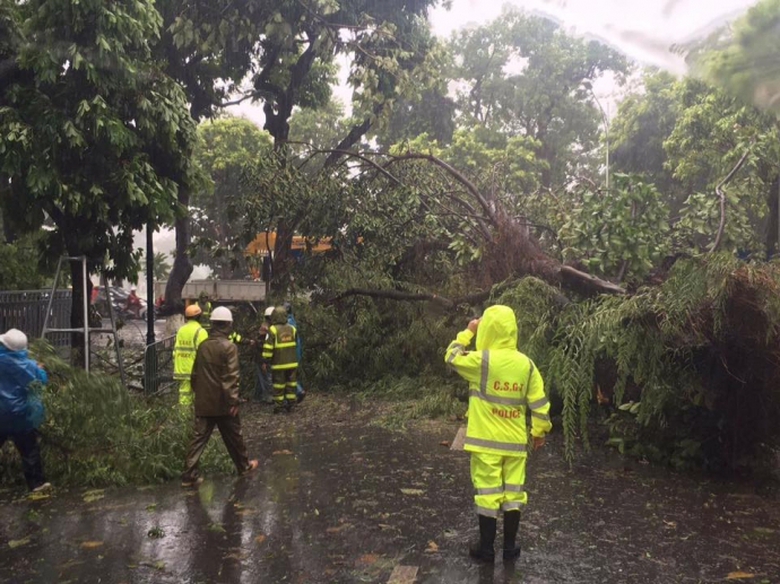 13669836_630080183822657_5245889810645493046_n