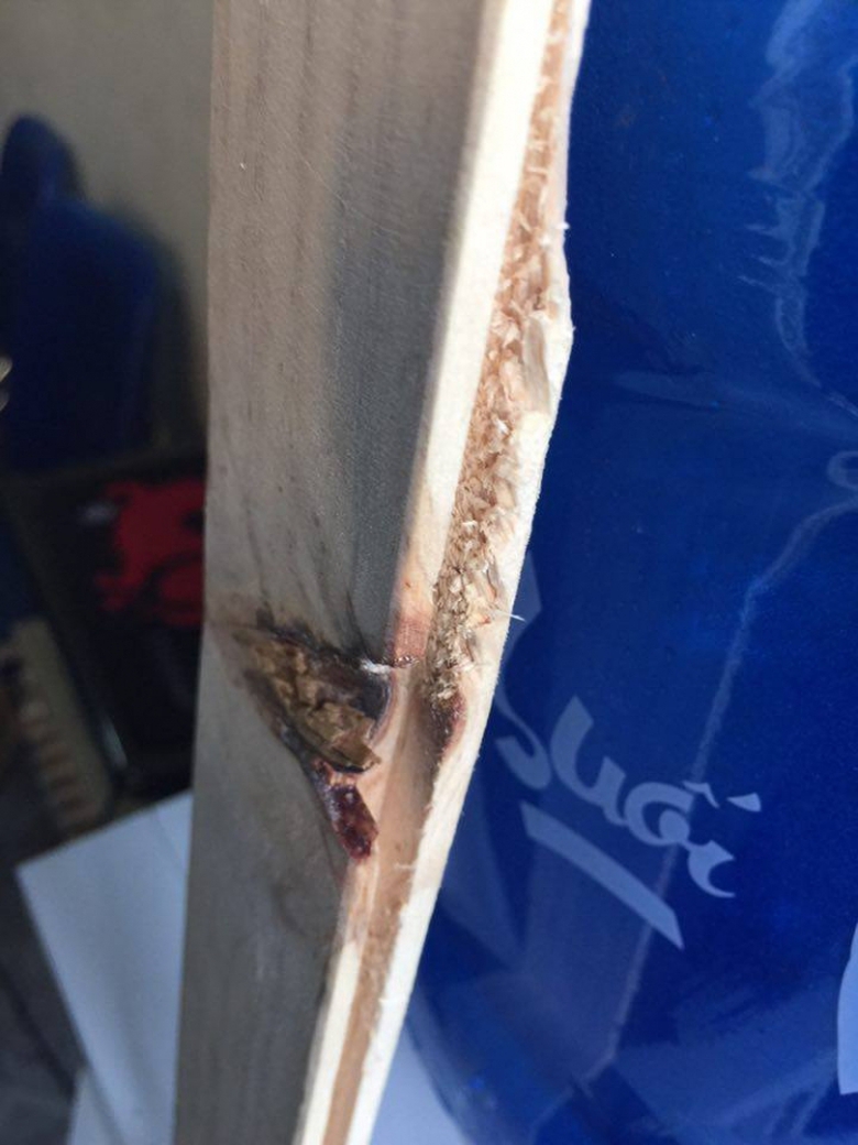 19114718_1974910089411099_706014105_n