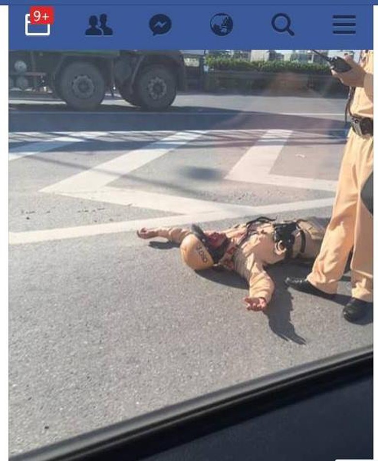 20986488_844772652367497_1933186958_n