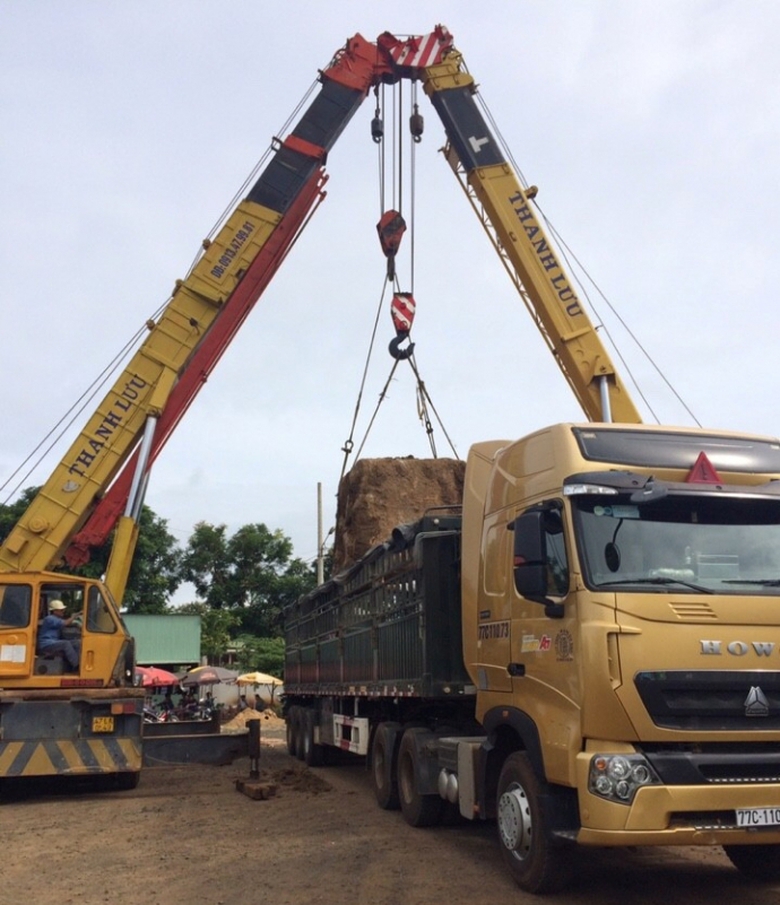 13883699_1006852382765496_1389821843_n