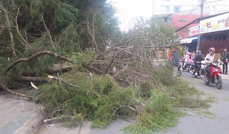 20604256_1720911474879743_7017684594705820695_n