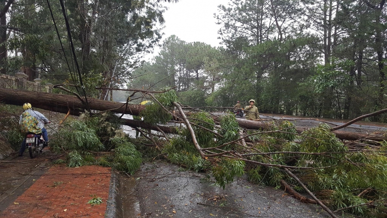 23223385_1981539682126376_1230000486_o