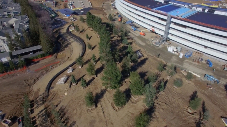 C&acirc;y xanh đ&atilde; bắt đầu được trồng cạnh c&aacute;c đường đi đ