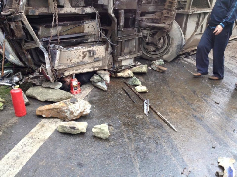 10511082_918230178295599_1945290840946778838_n