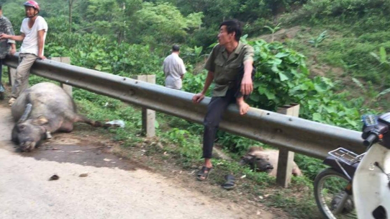 18361780_1332527123461081_1510487448_n