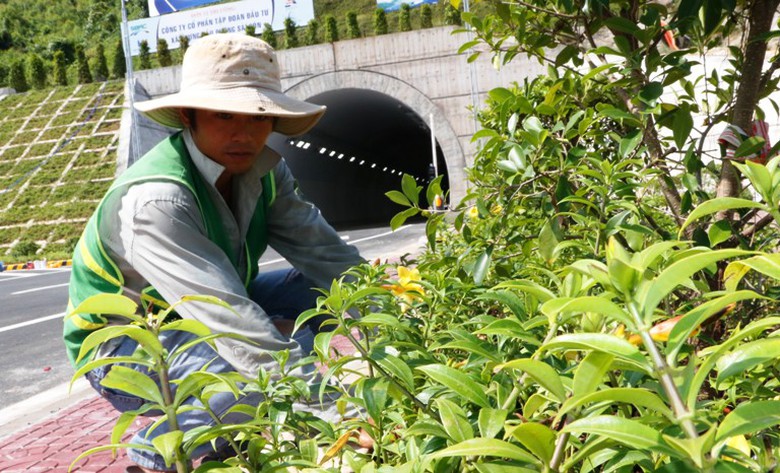 can-canh-ham-duong-bo-deo-ca-8