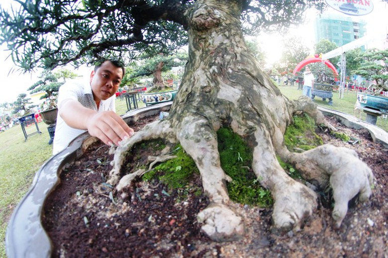 canh-doc-binh-dinh-3