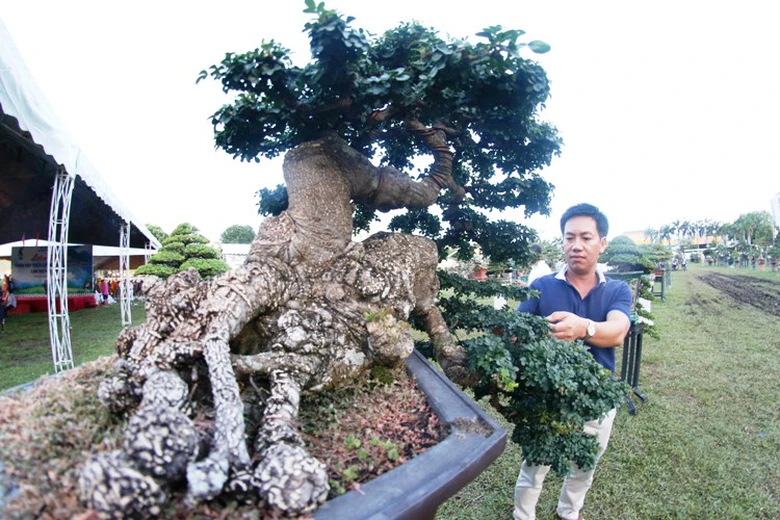 canh-doc-binh-dinh-7