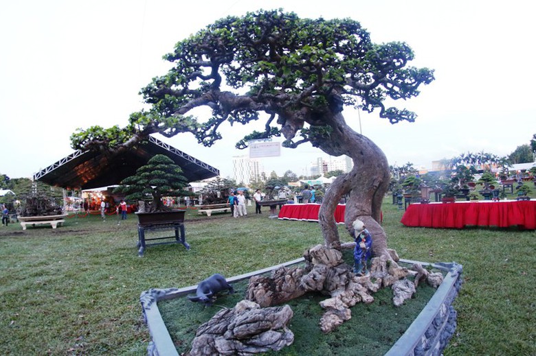 canh-doc-binh-dinh-15