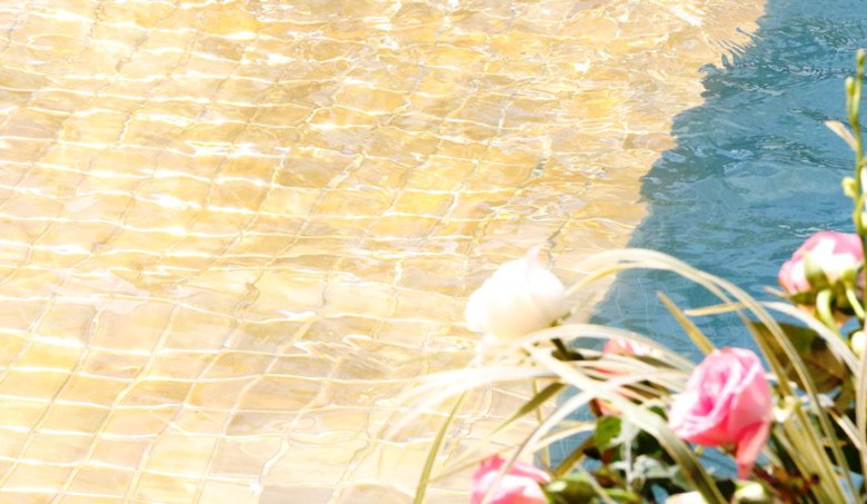 anh-vien-boi-be-dat-vang-9