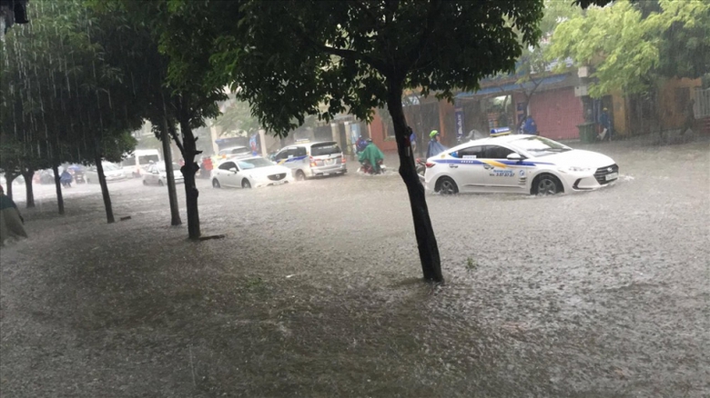 23336147_84506325565