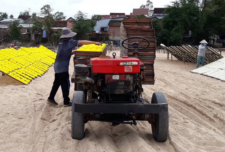 lang-bun-binh-dinh-14