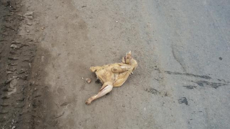 2-doi-tuong-cuop-ga-cung-co-hon-gay-tai-nan-khien3