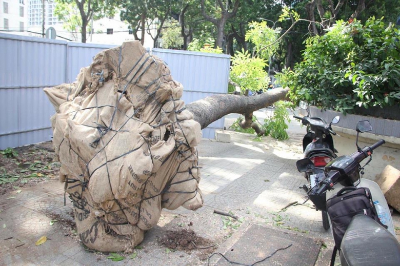 22414294_876679335818278_965239901_n